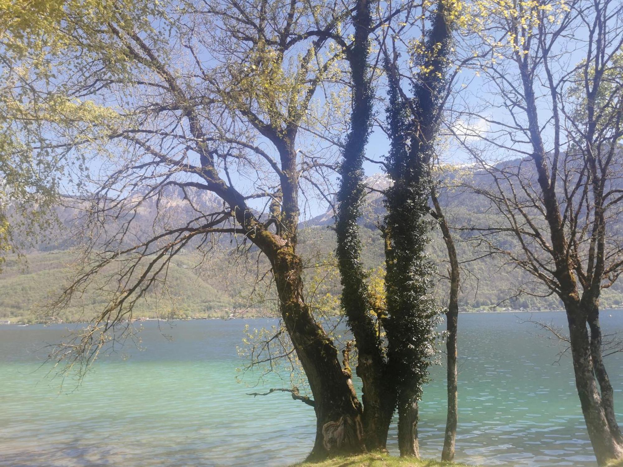 Charmant Appartement A 1 Minute Du Lac Annecy Zewnętrze zdjęcie